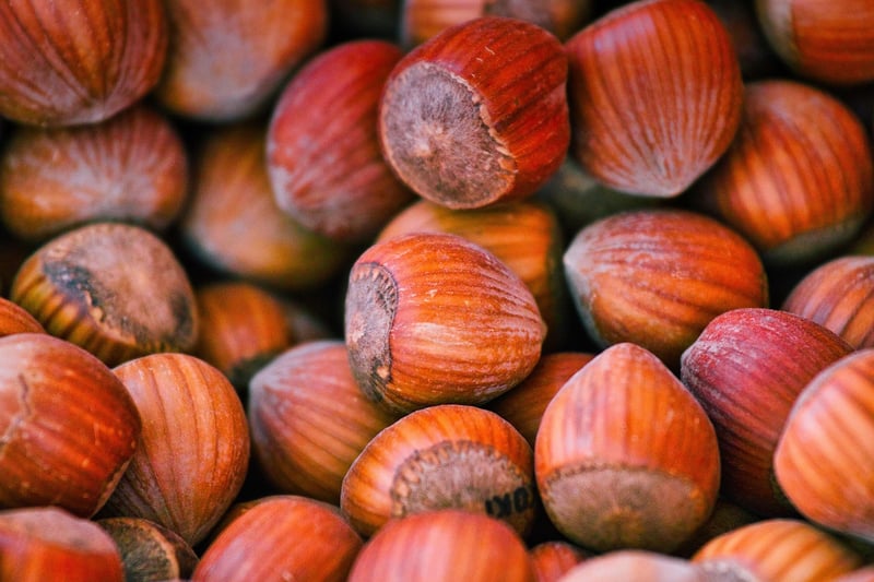 Nuts and Seeds